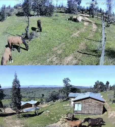 Cámara Seguridad Solar 4g Homologada Doble Lente 360°
