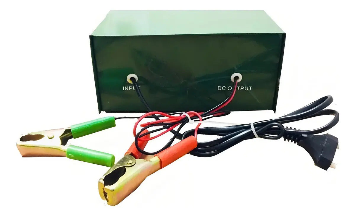 Cargador de Batería Autos y Motos 12V 6V 20A 220V Verde