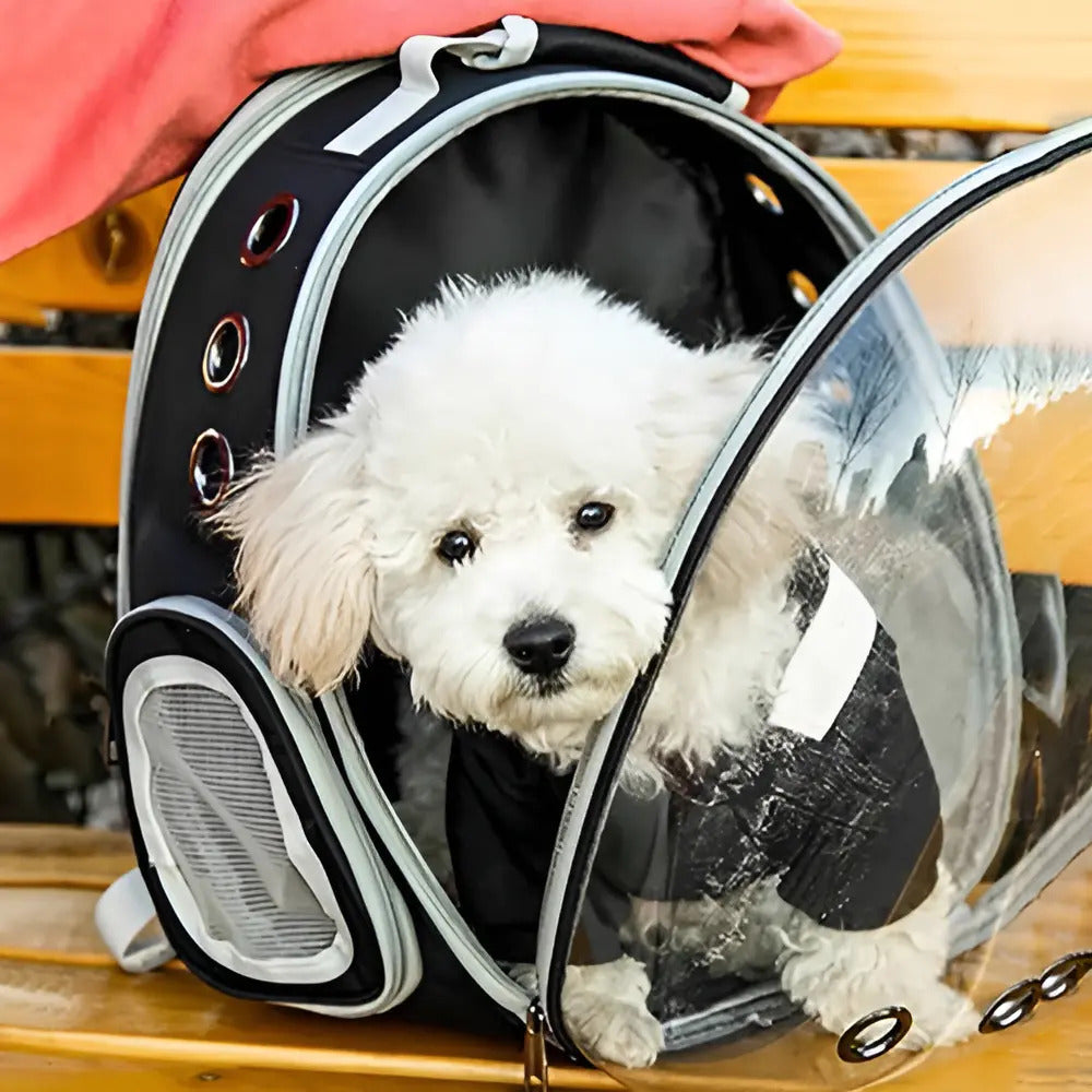 Mochila Transportadora Transparente para Mascotas – Ventilada, Negro