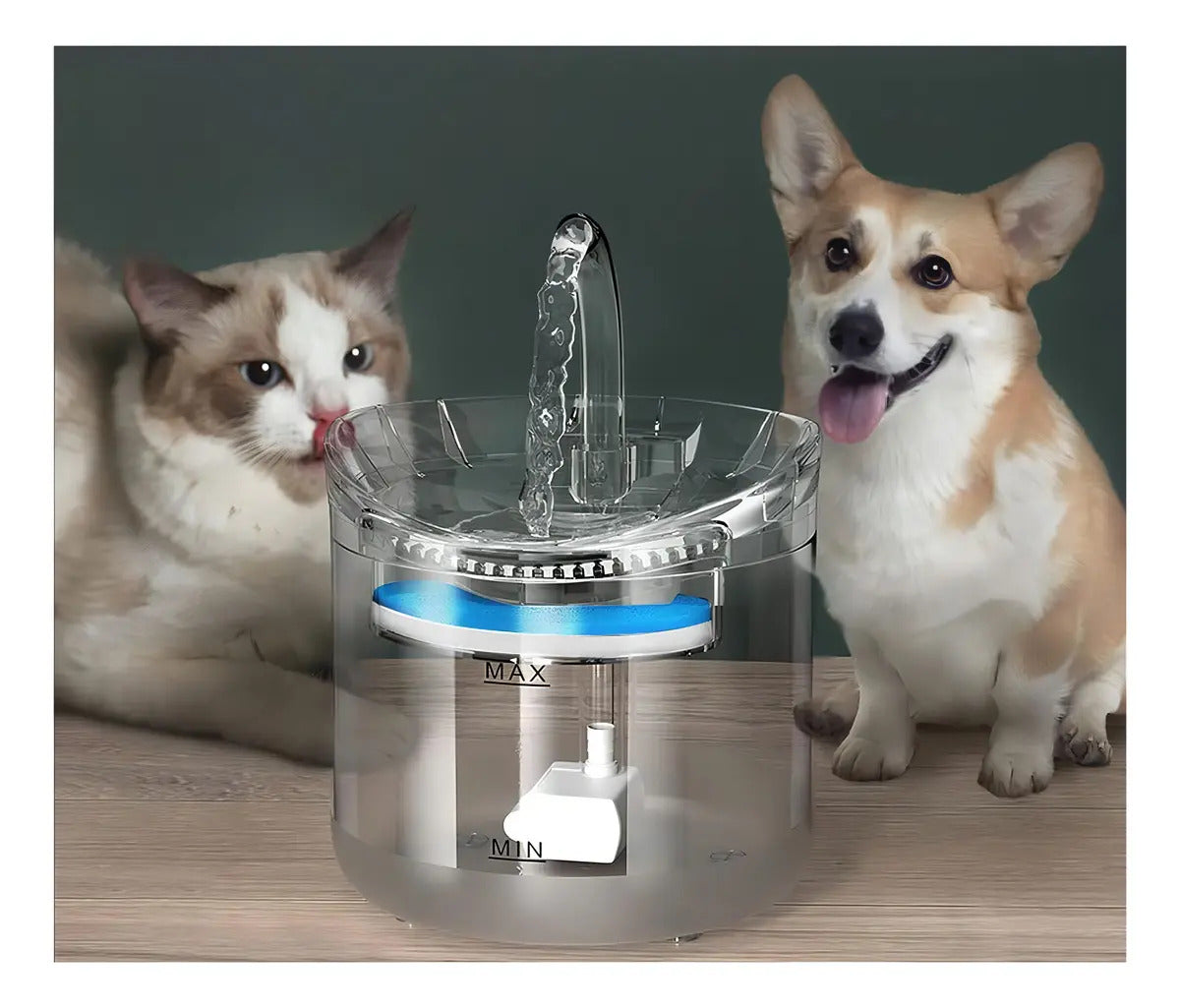 Bebedero Fuente para Mascotas 1.8L | Filtro 4 Capas Transparente