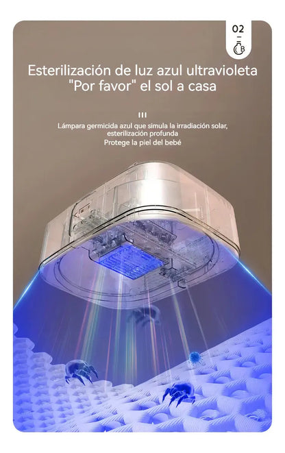Secadora Portátil 400W LED UV Ropa y Calzado Plegable