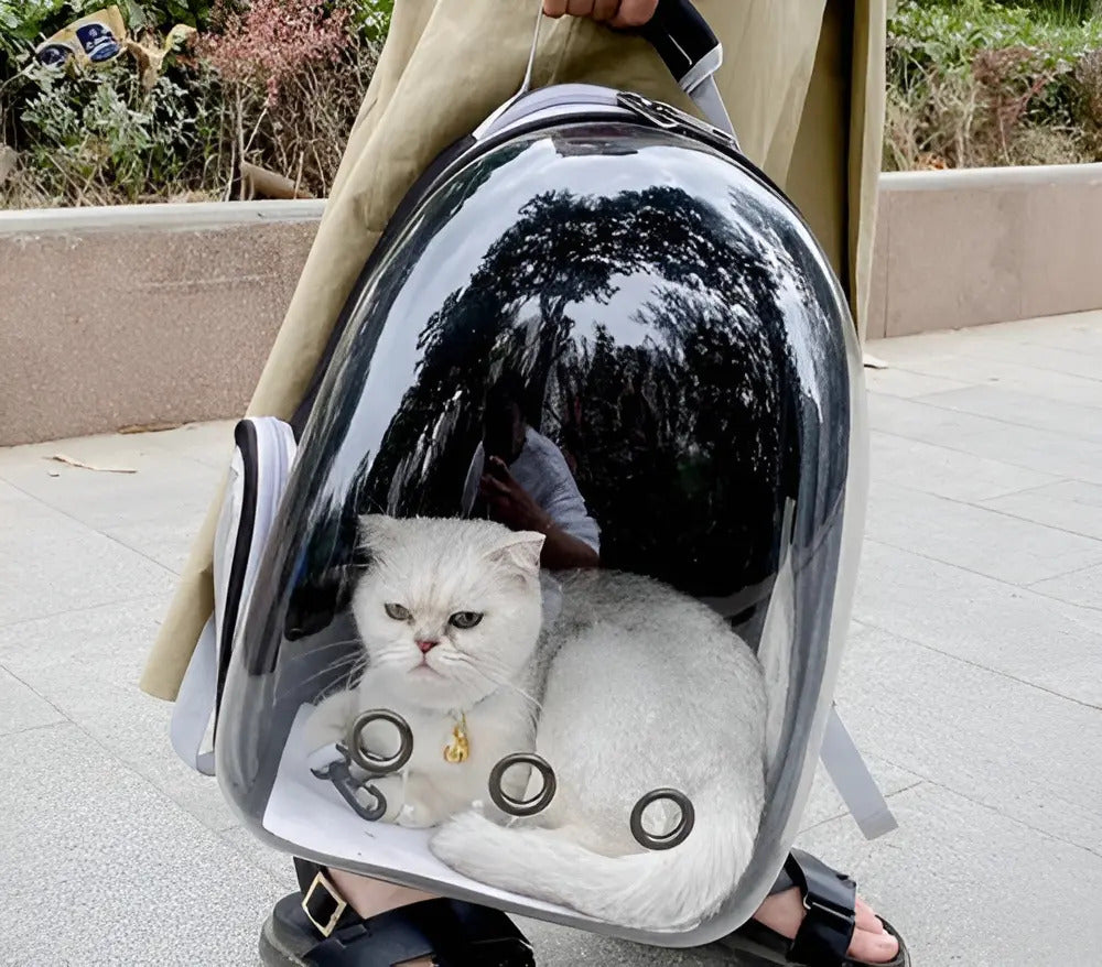 Mochila Transportadora Transparente para Mascotas – Ventilada, Negro