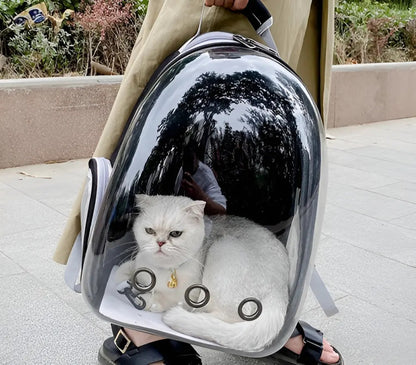 Mochila Transportadora Transparente para Mascotas – Ventilada, Negro