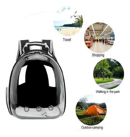 Mochila Transportadora Transparente para Mascotas – Ventilada, Negro