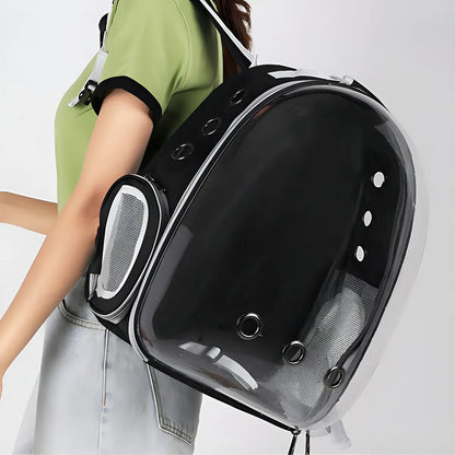 Mochila Transportadora Transparente para Mascotas – Ventilada, Negro