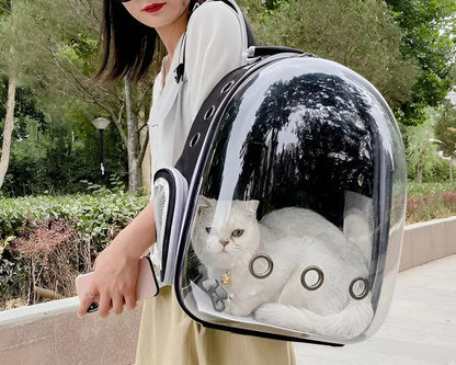 Mochila Transportadora Transparente para Mascotas – Ventilada, Negro
