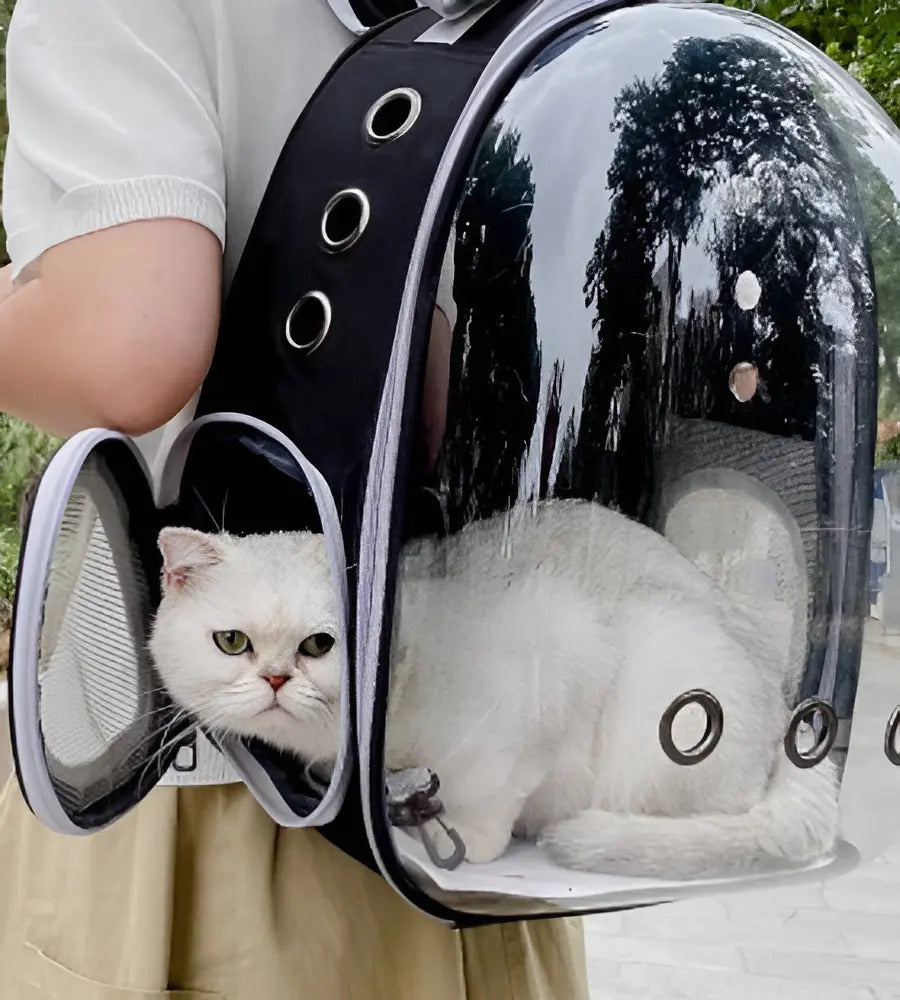 Mochila Transportadora Transparente para Mascotas – Ventilada, Negro