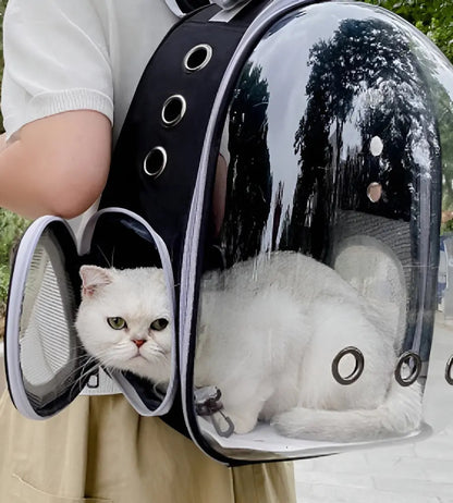 Mochila Transportadora Transparente para Mascotas – Ventilada, Negro