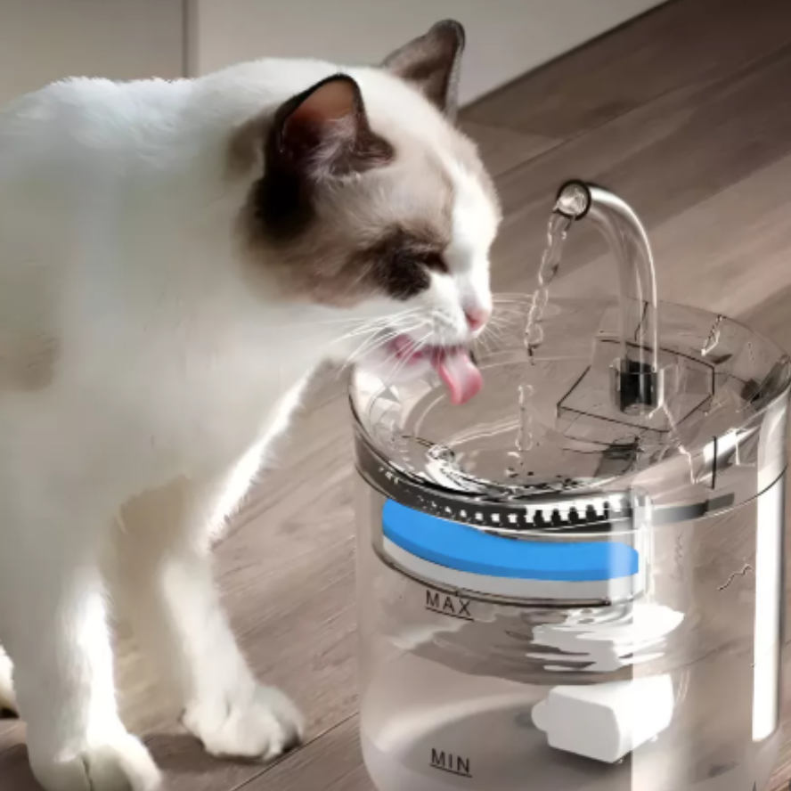 Dispensador de Agua Eléctrico para Mascotas 1,8L Silencioso con Filtro