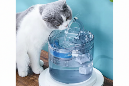 Dispensador de Agua Eléctrico para Mascotas 1,8L Silencioso con Filtro